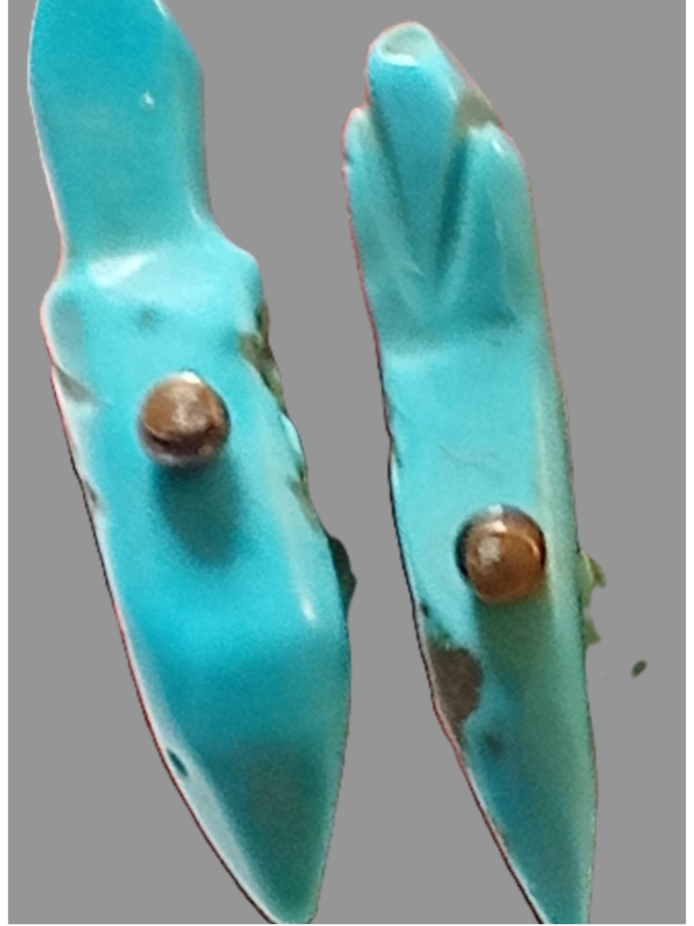 Southwestern Turquoise Fetish Carved Earrings Boho Artisan Jewelry - Picture 4 of 7